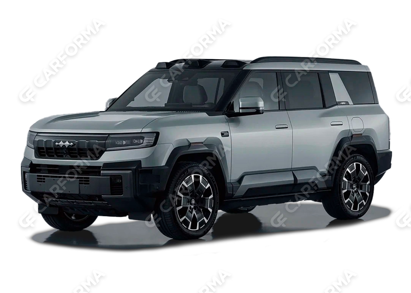 Ворсовые коврики на BYD Leopard 8 2024&nbsp;-&nbsp;2026 в Брянске