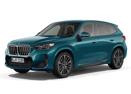 Коврики на BMW iX1 (U11/U12) 2022 - 2025 в Брянске