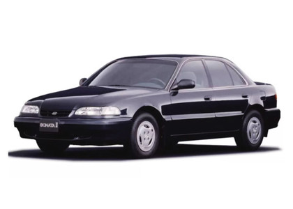 Ворсовые коврики на Hyundai Sonata 3 (Y3) 1993 - 1998 в Брянске