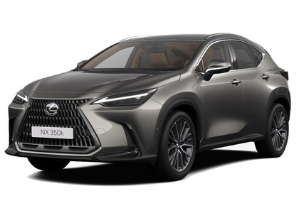 Ворсовые коврики на Lexus NX II 2021 - 2025 в Брянске