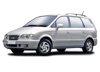 Ворсовые коврики на Hyundai Trajet 1999 - 2008 в Брянске