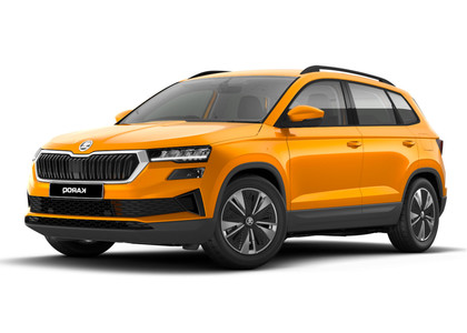 Ворсовые коврики на Skoda Karoq 2017 - 2025 в Брянске