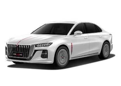 Ворсовые коврики на Hongqi H5 II 2022 - 2025 в Брянске