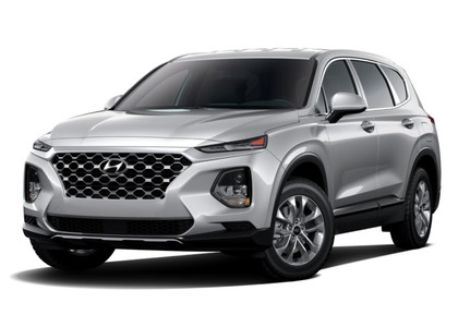 Ворсовые коврики на Hyundai Santa Fe IV 2018 - 2021 в Брянске