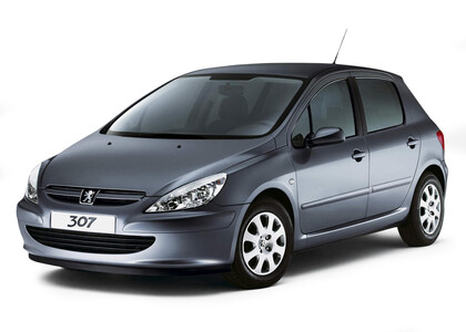 Ворсовые коврики на Peugeot 307 2001 - 2008 в Брянске