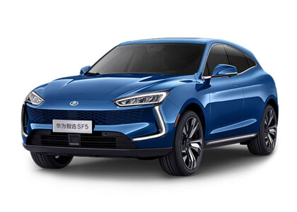 Ворсовые коврики на Seres SF5 2019&nbsp;-&nbsp;2022 в Брянске