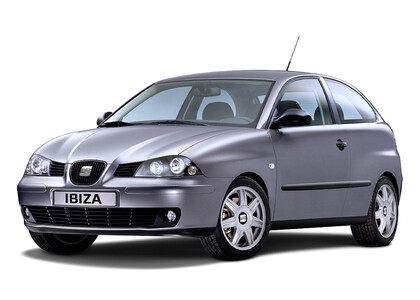 Ворсовые коврики на Seat Ibiza III 2001 - 2008 в Брянске