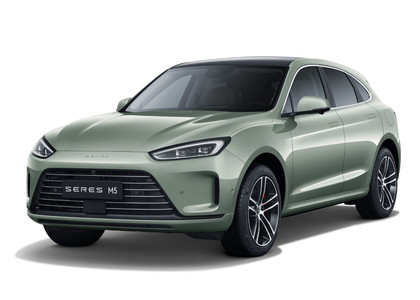 Ворсовые коврики на Seres M5 2021 - 2025 в Брянске