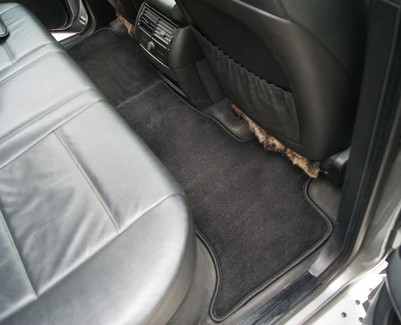 Ворсовые коврики на BMW X5 (E53) 1999 - 2006 в Брянске