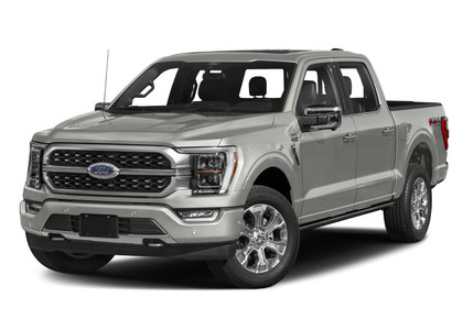 Ворсовые коврики на Ford F150 2020 - 2025 в Брянске