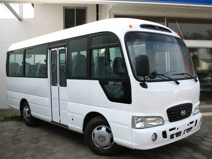 Ворсовые коврики на Hyundai County 2006 - 2016 в Брянске