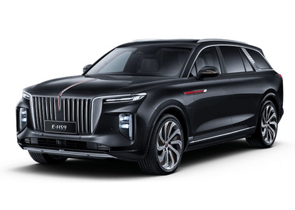 Ворсовые коврики на Hongqi E-HS9 2022 - 2025 в Брянске