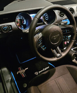 Коврики на Ford Mustang VI 2013&nbsp;-&nbsp;2023 в Брянске