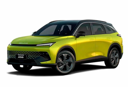 Ворсовые коврики на Baic X55 2022 - 2025 в Брянске