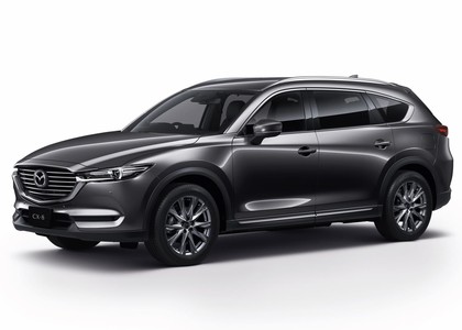 Ворсовые коврики на Mazda CX8 2017 - 2023 в Брянске