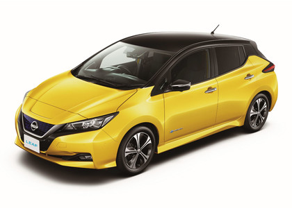 Ворсовые коврики на Nissan Leaf (ZE1) 2017 - 2025 в Брянске