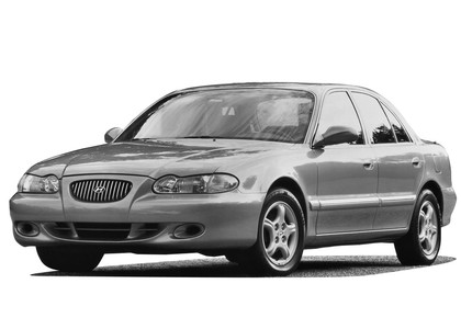 Ворсовые коврики на Hyundai Sonata 3 (Y3) 1993 - 1998 в Брянске