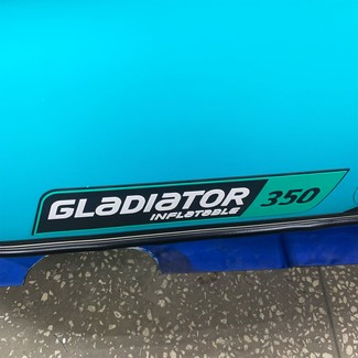 Ворсовые коврики на Лодки Gladiator E350S  в Брянске