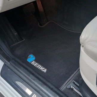 EVA коврики на BMW 5 Gran Turismo (F07) 2009 - 2016 в Брянске