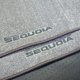 Ворсовые коврики на Toyota Sequoia I 2001 - 2008 в Брянске