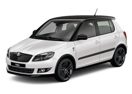 EVA коврики на Skoda Fabia II 2007 - 2015 в Брянске