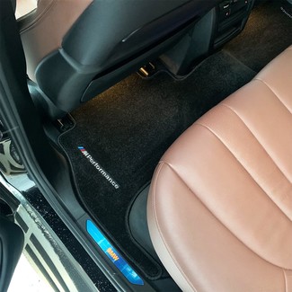 Ворсовые коврики на BMW X5 (G05/G18) 2018 - 2025 в Брянске