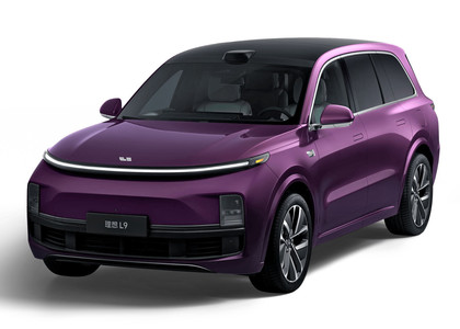 Ворсовые коврики на Li L9 2022 - 2025 в Брянске