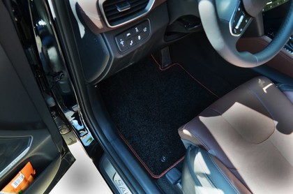 Ворсовые коврики на Hyundai Santa Fe IV 2018 - 2021 в Брянске