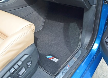 Ворсовые коврики на BMW X6 (F16) 2014 - 2019 в Брянске